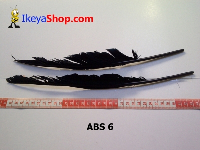 bulu angsa besar ABS 6   feather  large2